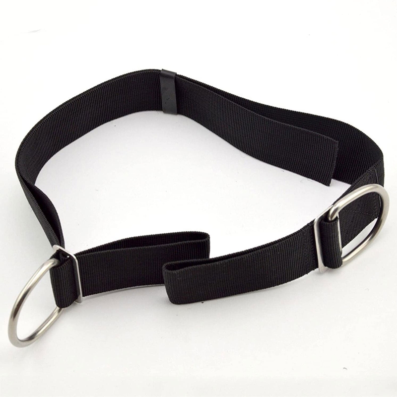 Adjustable Tech Dive Crotch St - Universal Tech Accessories review and price